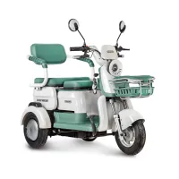 Электротрицикл Rutrike Gelbert Mercury 48V/60V 650Вт Зеленый