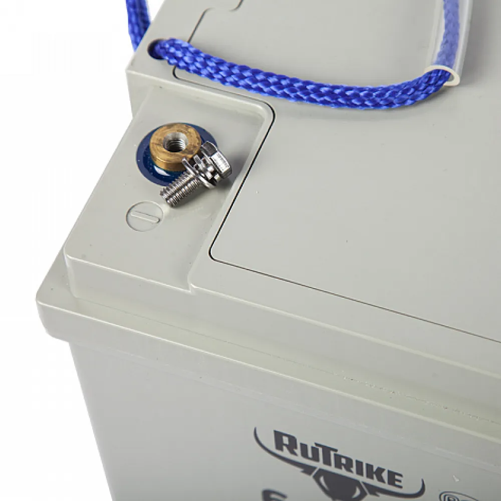 Тяговый аккумулятор RuTrike 6-EVF-60 (12V60A/H C3) 6